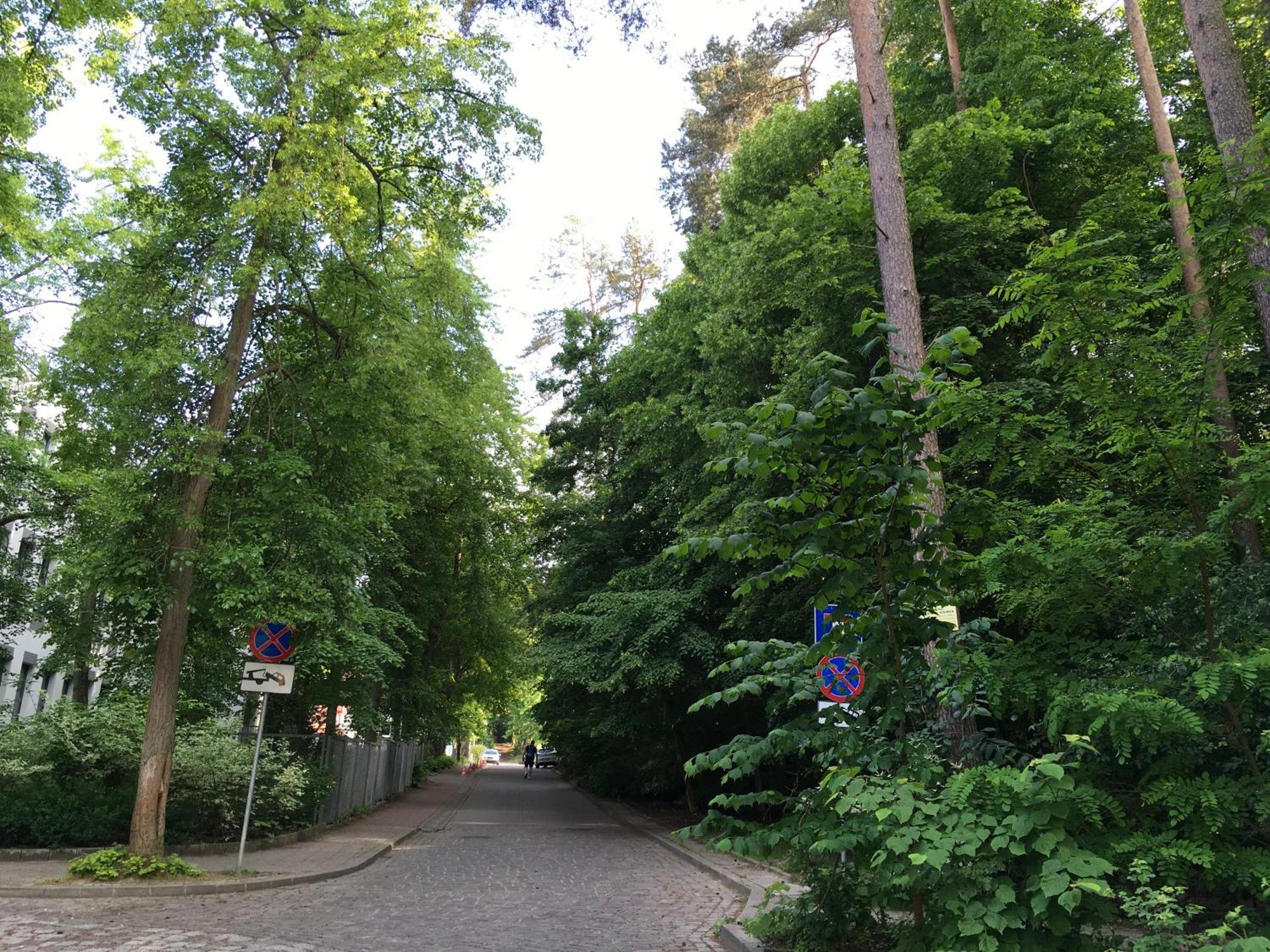 Przytulny Apartament Blisko Lasu Z Szybkim Wi-Fi Sopot Dış mekan fotoğraf